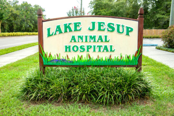 Lake Jesup Animal Hospital – We'd Love To Meet Your Best Friend!